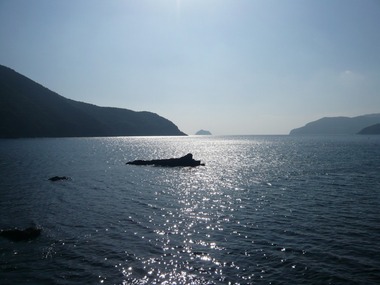 00-P1300295