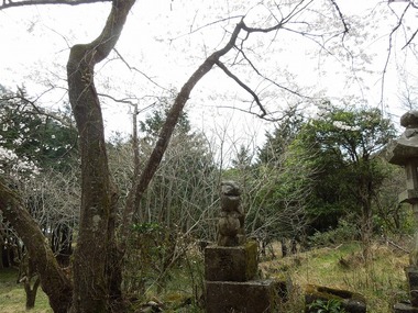 00-DSCN0674