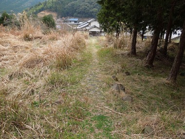 00-DSCN0681