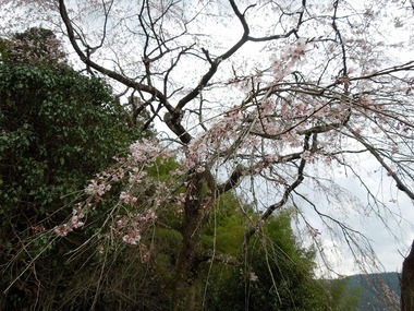 00-DSCN0664