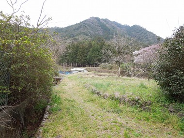 00-DSCN0656