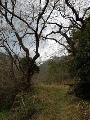 00-DSCN0680