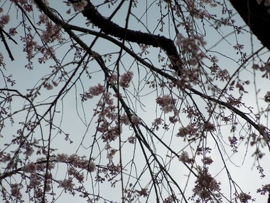 00-DSCN0662