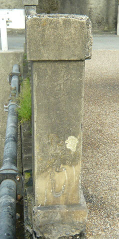 amP1020276