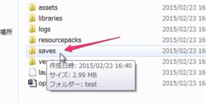マイクラセーブの場所画像4