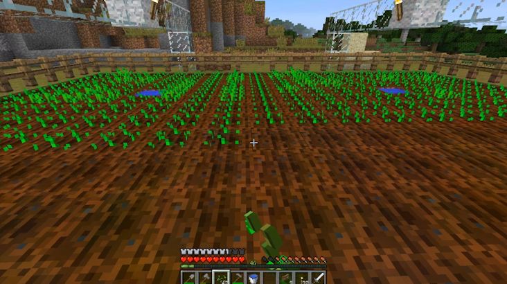 マイクラ開拓part１０ 村の周りに畑や牧場を作る チャミーのマイクラぶろぐ