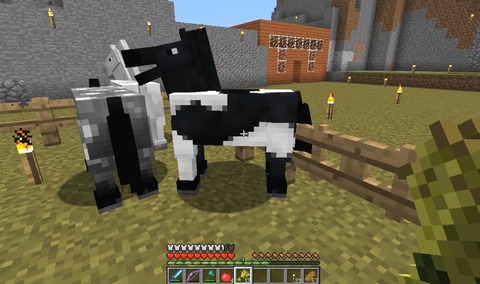 マイクラ馬の乗り方 (12)