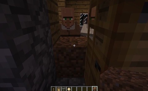 マイクラ村人無限増殖 (3)