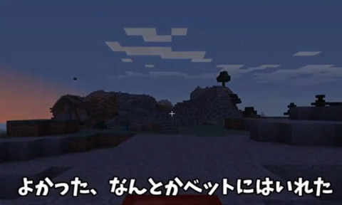 マイクラ開拓画像 (1)