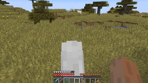 マイクラ馬の乗り方 (4)