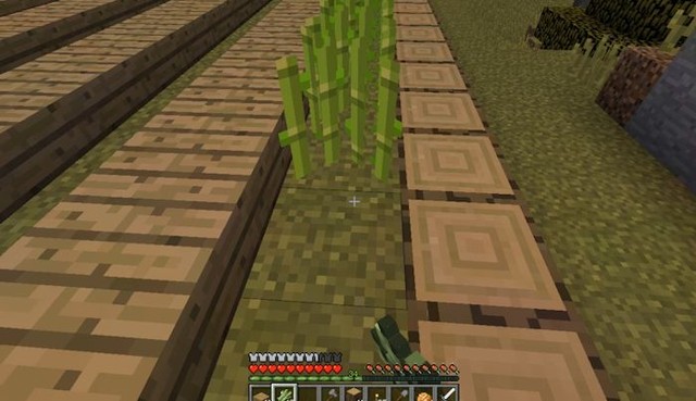 マイクラ開拓part１０ 村の周りに畑や牧場を作る チャミーのマイクラぶろぐ