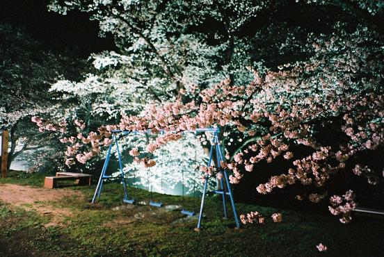 buranko-cherry