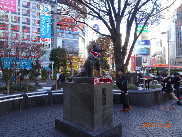 DSC03699