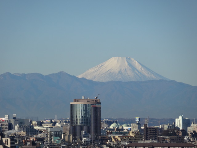 「83歳いまだ現役！日々録」