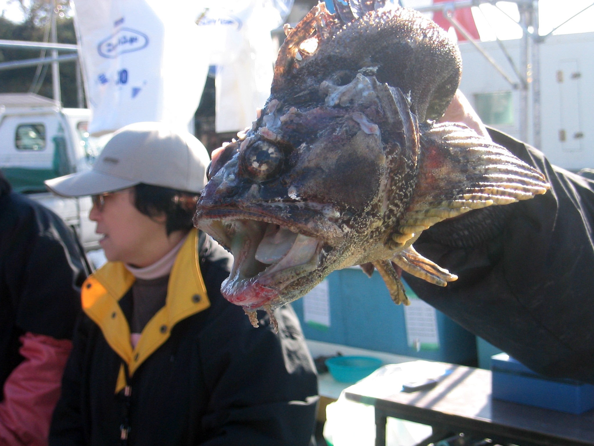 ボッケのお祭り 仙台はじめて日記