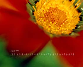 Ninamikaの世界 ものぐさ日記