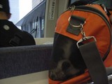 yurikamomeR0179_061004