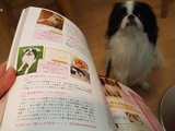 µ»öD0132_081224
