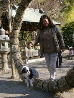 DSC08447_120114