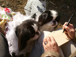DSC08484_120114