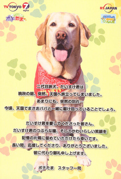 daisukekun-card2