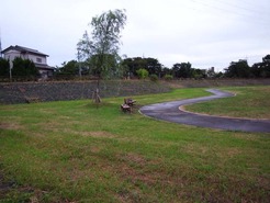 R18628_100729