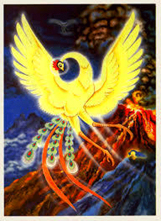 令和へとつながる手塚治虫の「火の鳥」 掛け軸 : 日本ものこと百貨ブログ