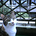 040603-123512.jpg