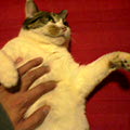 050128-005556.jpg