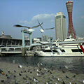 041125-163238.jpg