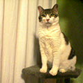 040620-201021.jpg