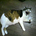 040526-191003.jpg