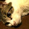 040625-213047.jpg