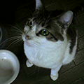 040603-125721.jpg