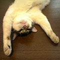 040708-113330.jpg