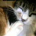 040808-234701.jpg
