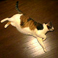 040702-171753.jpg
