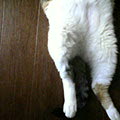 040620-101810.jpg