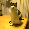 040824-123028.jpg