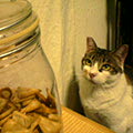 040916-202613.jpg