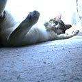 040602-140400.jpg