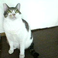 040703-160208.jpg