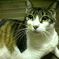 040822-230818.jpg