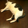 040709-121150.jpg
