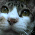 040601-123746.jpg
