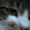 040615-165734.jpg