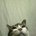 040527-003022.jpg