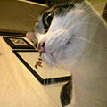 040815-162352.jpg