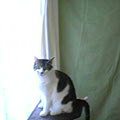 040602-112511.jpg