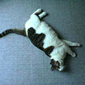 040604-120310.jpg
